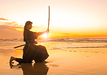Sompo Samurai Experience